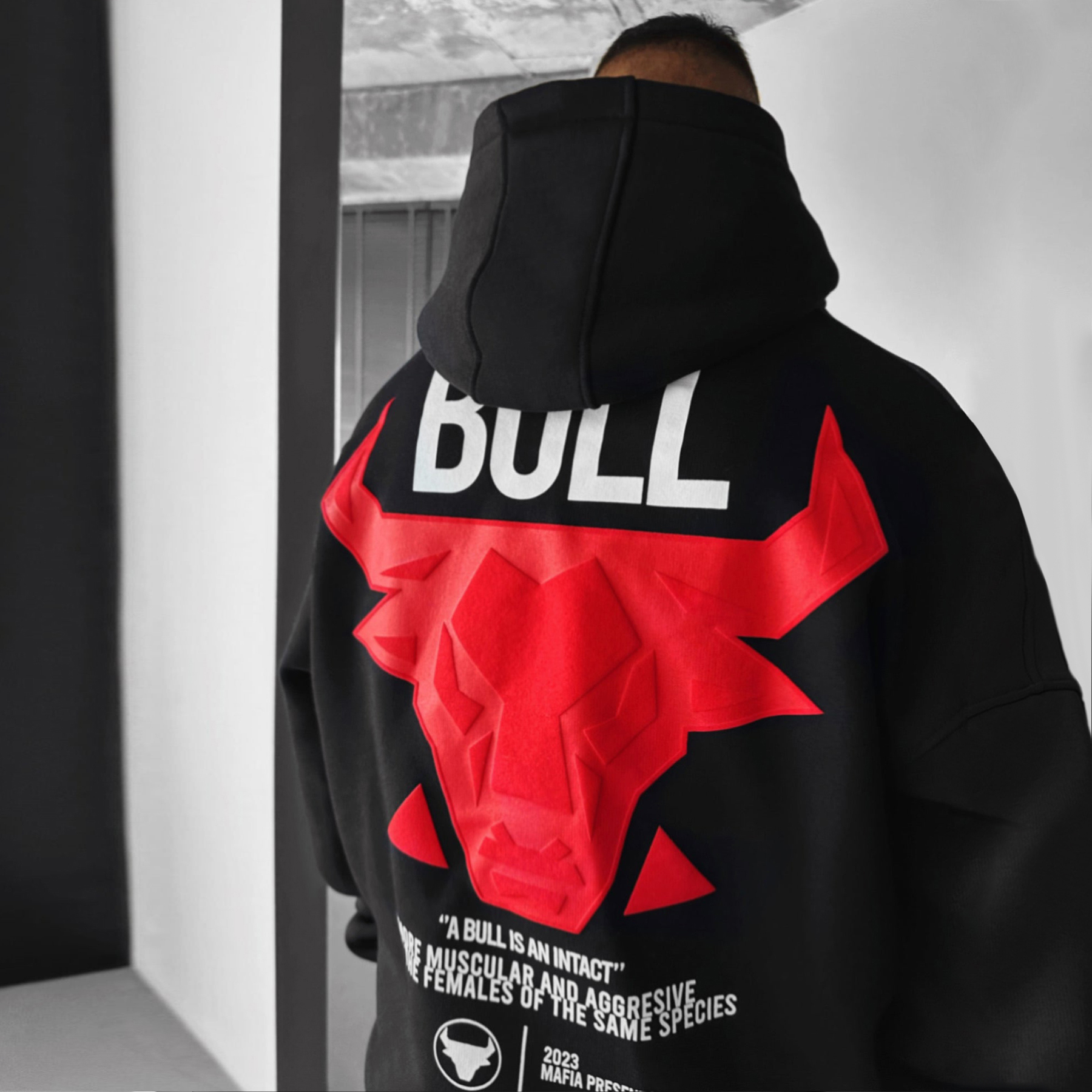 Oversize Bull Hoodie / [blueesa] /