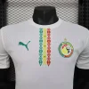 2025 Player Version Senegal Soccer Jersey Home