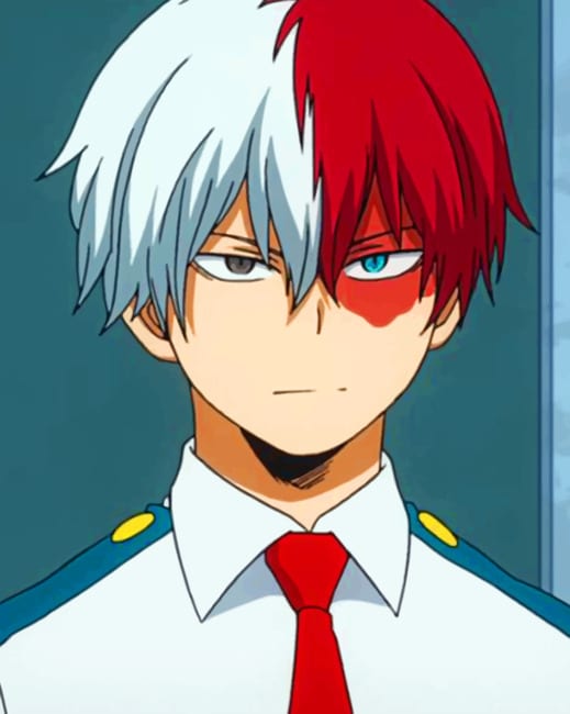 

Todoroki Anime – Paint By Numbers - 40*50CM, 501 Original