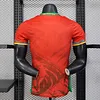 Joyfball 2025 Player Version Cameroon Away Football Shirt 1:1 Thai Quality（The player version jersey is a bit tight, please pay attention to the size selection）