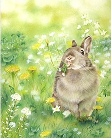 

Cute Rabbit In Green Grass – Paint By Numbers - 40*50CM, 501 Original