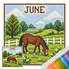Stamped Cross Stitch Kit for Adults Rural Landscape 14CT tapestrymarket