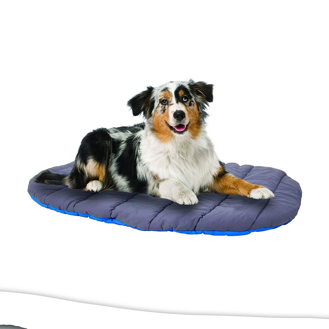 Travel Pillow Dog Bed