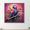 Diamond Painting-DIY Full Round Drill Parrot