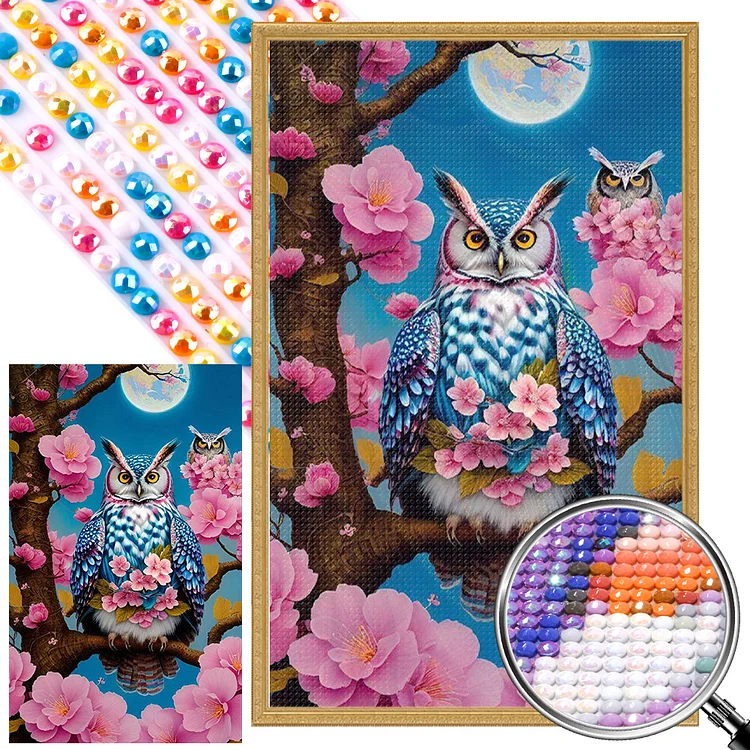 Partial AB Drill - Full Round Diamond Painting - Owl On Flower Branch 40*60CM