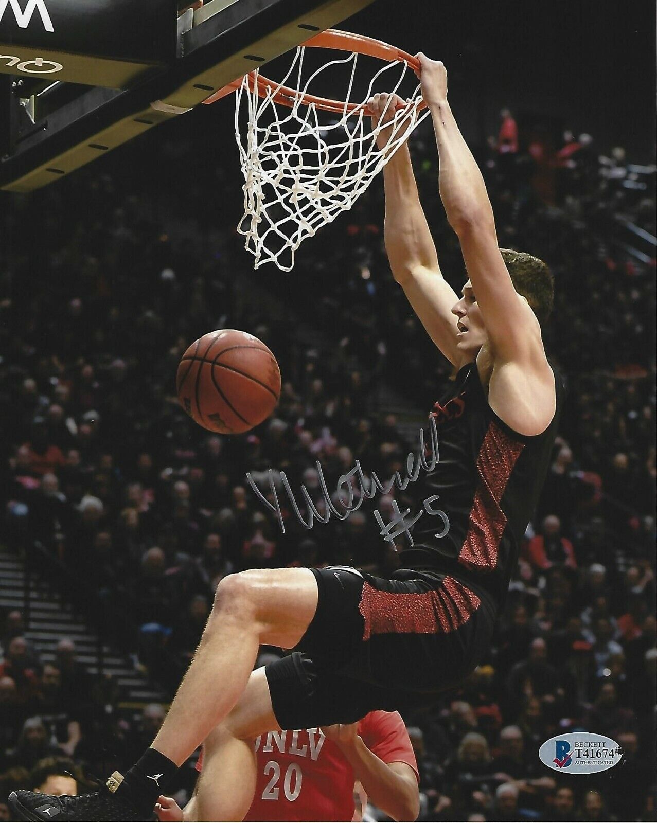 Yanni Wetzell Signed 8x10 Photo Poster painting BAS Beckett COA SDSU Aztecs Basketball Picture 4