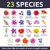 Wildflower Seeds Butterfly and Humming Bird Mix  23 Species 7,500 Seeds Packet
