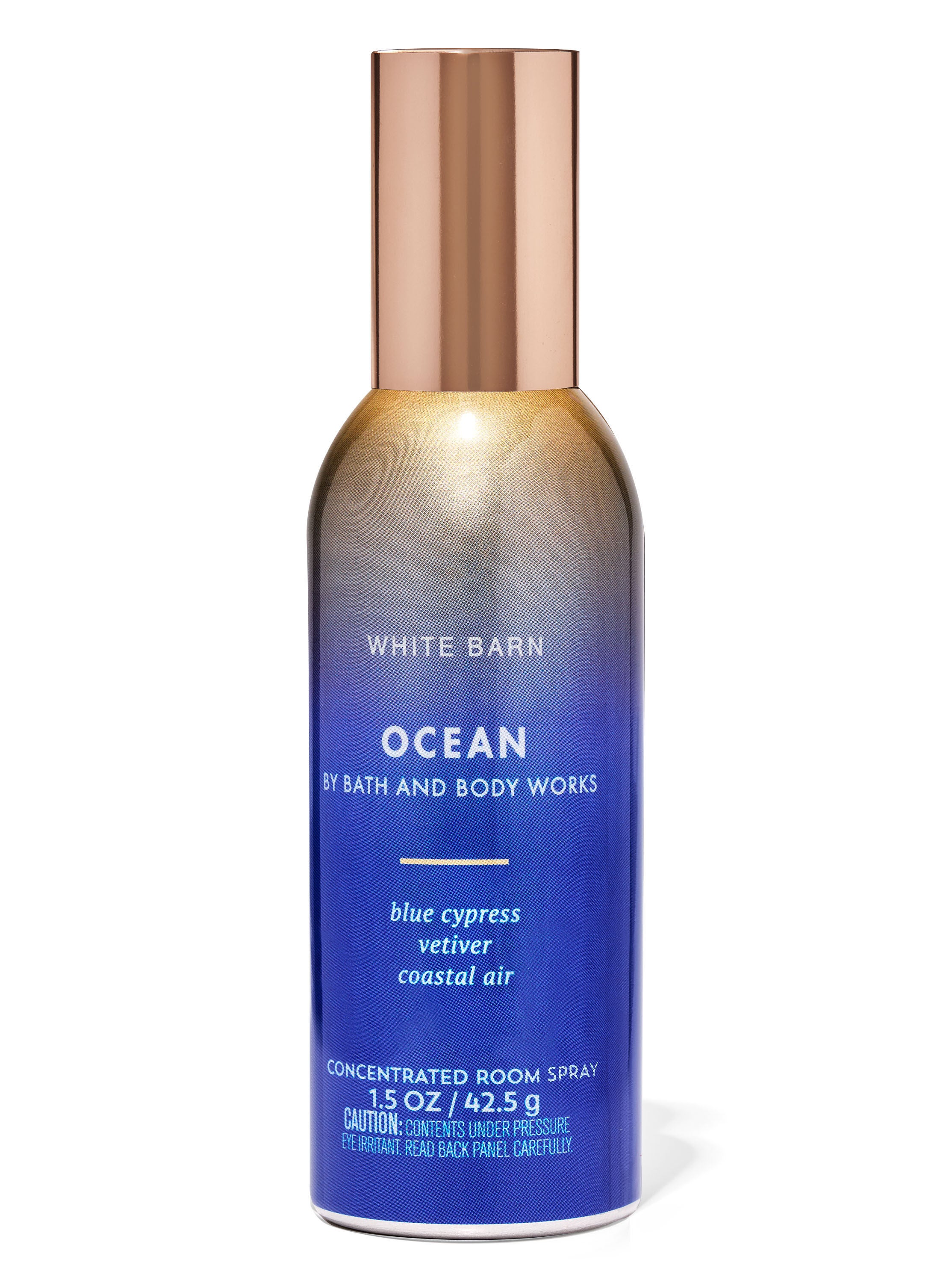 Ocean