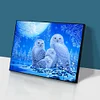 Diamond Painting -5D Full Round Drill Owl