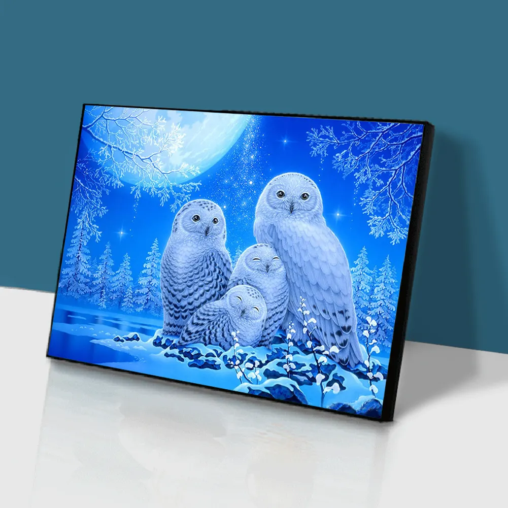 Full Round Diamond Painting 40*30cm - Owl