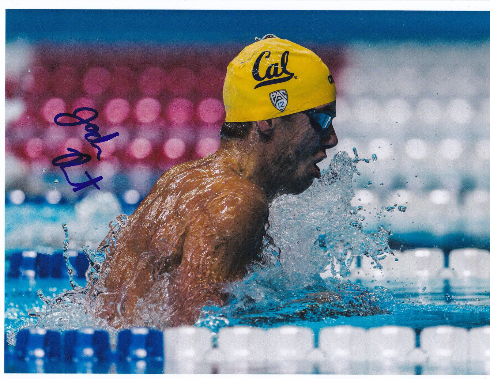 Josh Prenot Signed 8.5x11 Inch Photo Poster painting USA Swimming Rio Olympics Cal Bears