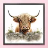 (Stamped/Counted) Highland Cow Baby-11CT Cross Stitch 40*40cm
