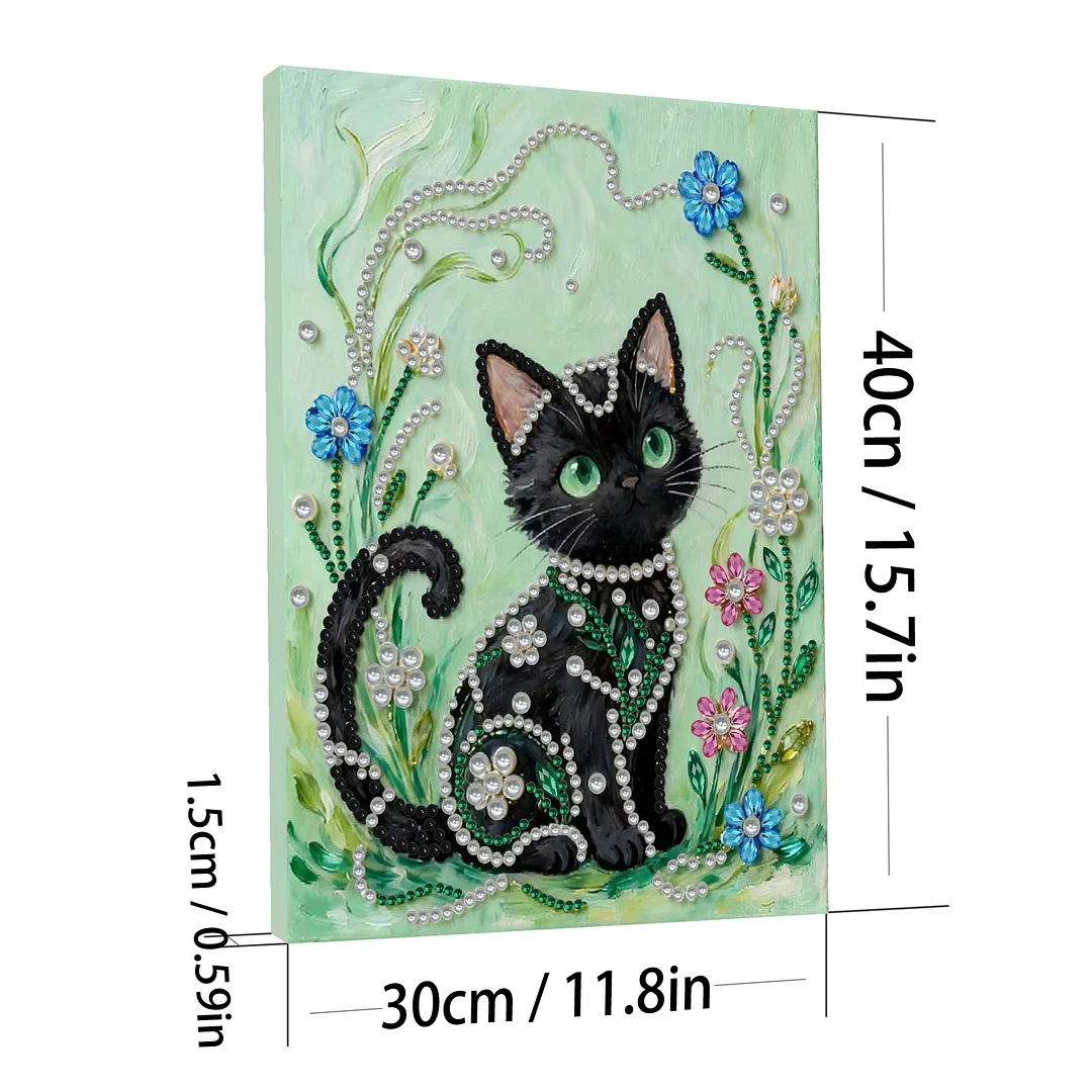 Black Cat DIY Pearl Diamond Art Kit for Adults Home Decor With Frame 30x40cm