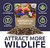 Wildflower Seeds Butterfly and Humming Bird Mix  23 Species 7,500 Seeds Packet