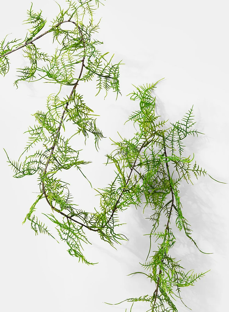 58in Long Asparagus Fern Garland, Case of 12