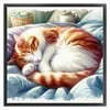 (Stamped/Counted) Cat Sleeping In A Ball-11CT Cross Stitch 40*40cm/15.75*15.75in