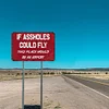 If Assholes Could Fly This Place Would Be An Airport- Warning - Vintage Metal Signs(8*12Inch)  - Warning