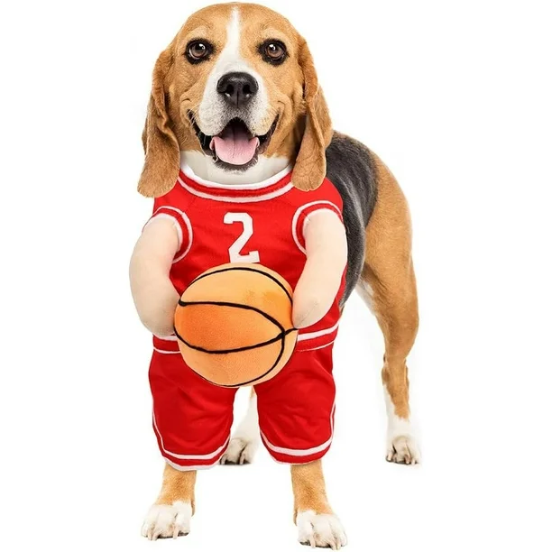 Dog Basketball Costume with Ball