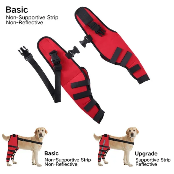 Double Dog Hip Brace with Safety Reflective Straps - Dog Hip Support ...