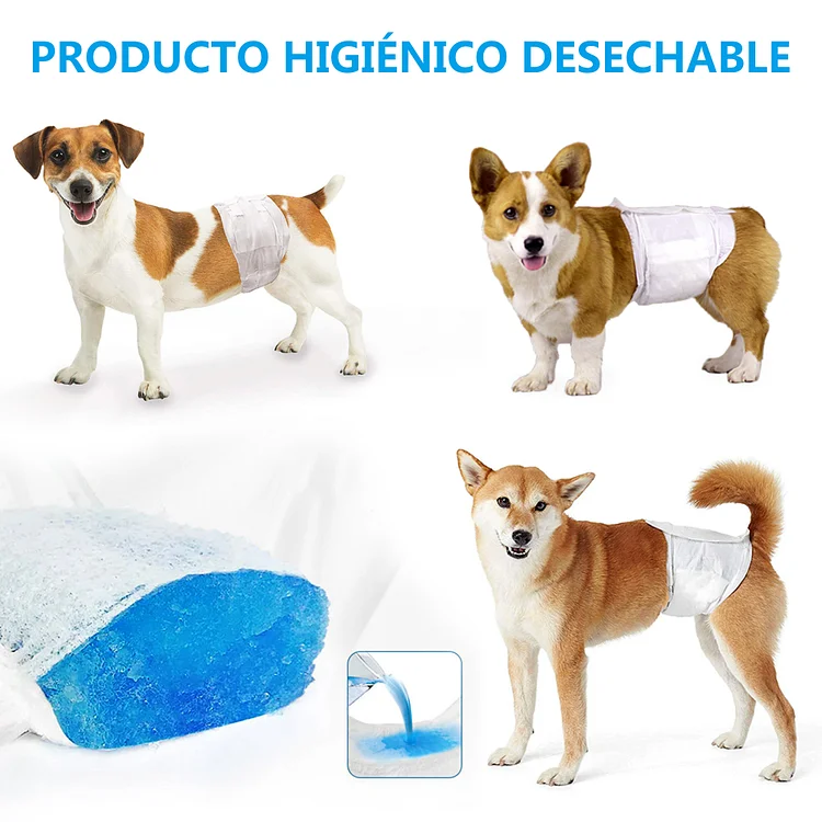 SMELL & SMILE Pañales Desechables para Perro Pañales para Perros Hembra  Pañal Sanitarios para Perro Mascotas Bragas Higiénicas Suaves absorbentes  (XS) : : Productos para mascotas