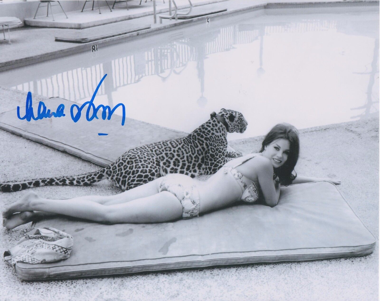 Lana Wood Original Autographed 8X10 Photo Poster painting #7