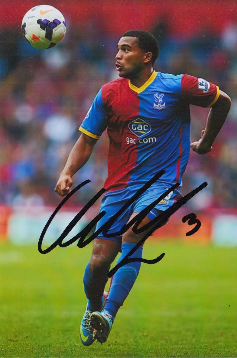 CRYSTAL PALACE HAND SIGNED ADRIAN MARIAPPA 6X4 Photo Poster painting.