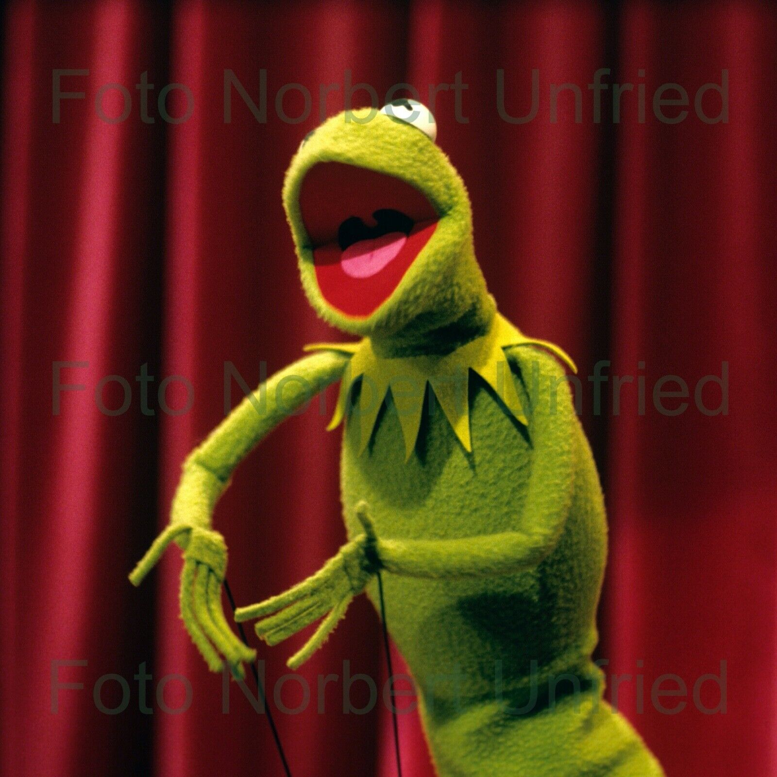 Kermit der Frosch - Muppets Foto 13 x 13 cm (Bild 442