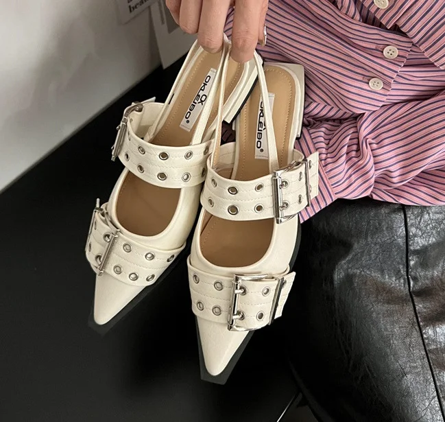 Popular Buckle Flat Shoes | IFYHOME