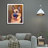 Peinture ronde de diamant de perceuse de chien-30*40cm