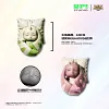 Sleeping Terriermon & Lopmon - Digimon Statue - UP Studio