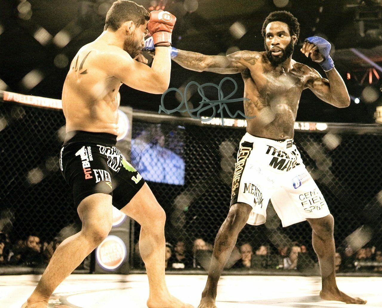 Daniel Straus Bellator Champion MMA Autographed Signed 8x10 Photo Poster painting CFS