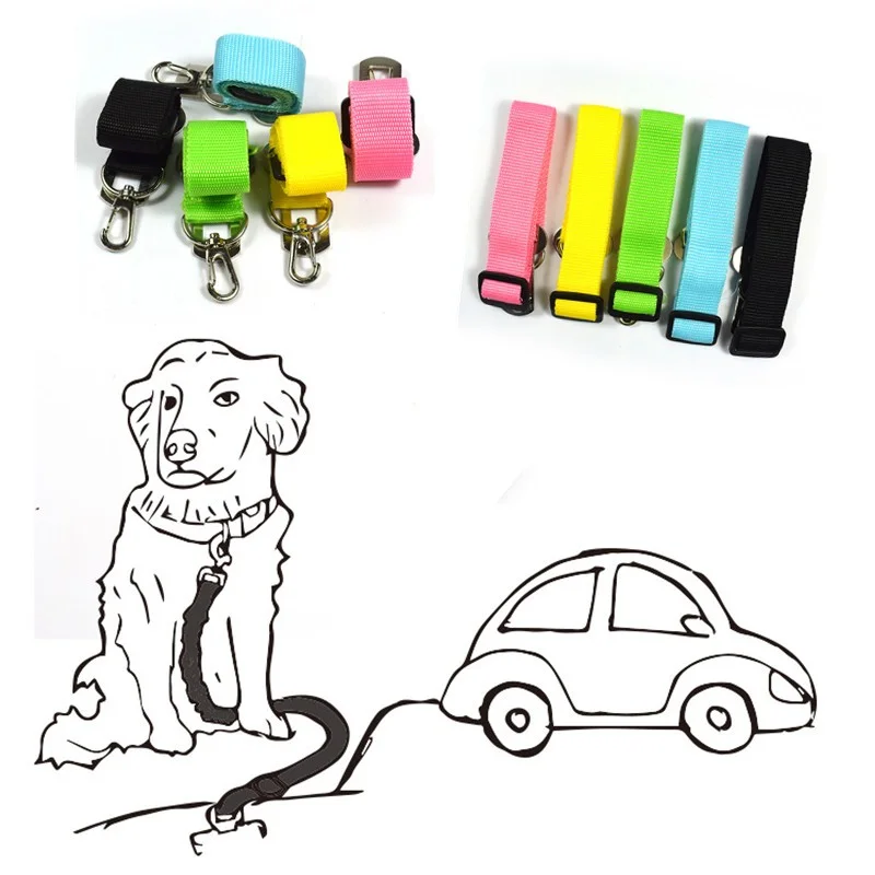 Car Seatbelt For Your Dog