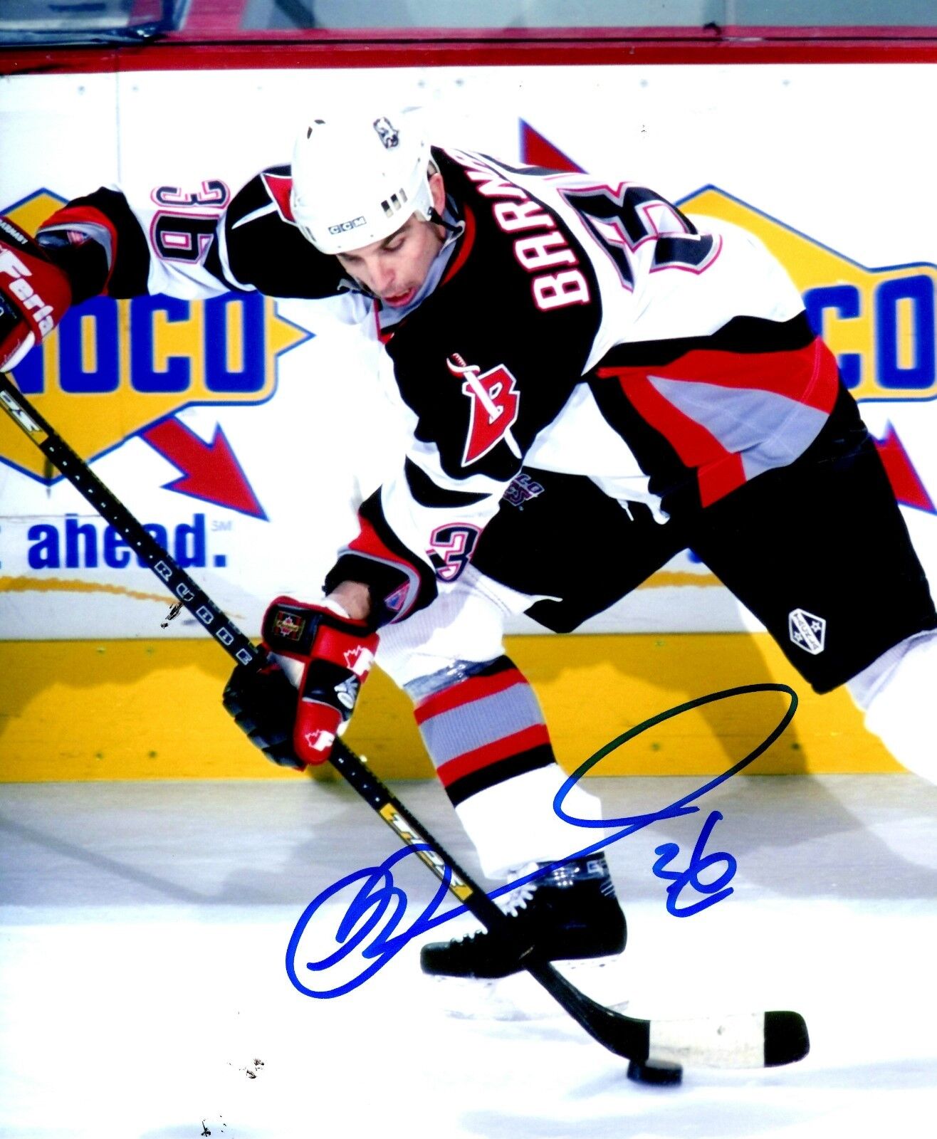 Signed 8x10 MATTHEW BARNABY Buffalo Sabres Photo Poster painting - COA