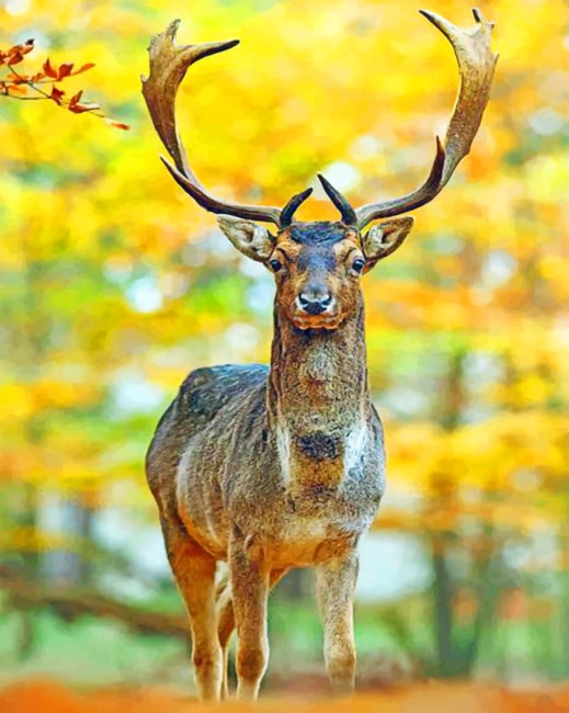

Deer In Autumn Forest – Films Paint By Numbers - 40*50CM, 501 Original
