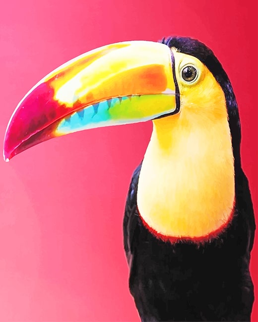 

Colorful Toucans – Paint By Numbers - 40*50CM, 501 Original