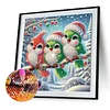 Diamond Painting - Partial Special Shaped Drill - Winter Bird(Canvas|30*30cm)