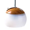 LED Camping Hanging Light USB Rechargeable Hook Silicone Tent Lantern for Picnic