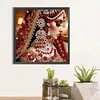 Indian Beauty - Crystal Rhinestone Diamond Painting