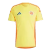 Colombia Home Soccer Jersey Copa America 2024