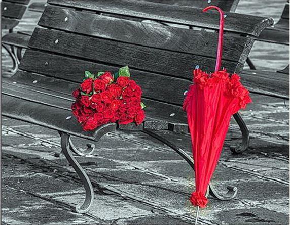 

Red Flowers Umbrella – Paint By Numbers - 40*50CM, 501 Original