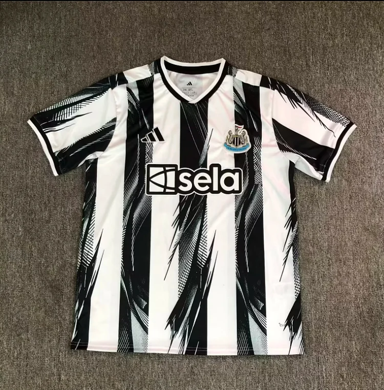 2627 Newcastle Home - Fan Version