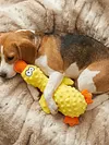 Cute Duck Dog Squeak Toys with Built-in Squeaker Puppy Teething Interactive Chewing Plush Toy for All Breed Sizes To Keep Them Busy