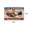 Airplane Girl - Vintage Metal Signs(12*16Inch) - Vehicle