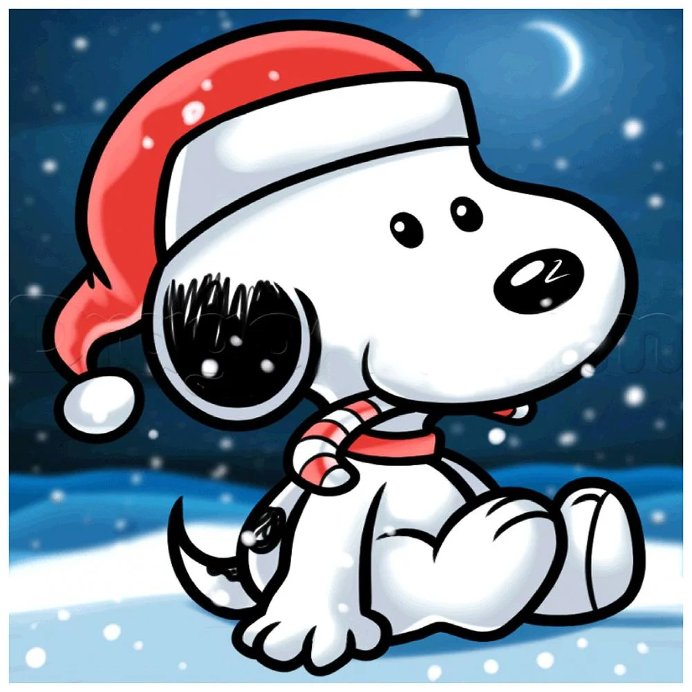 Full Round Diamond Painting - Snoopy(30*30cm)