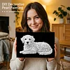 (20x30cm)DIY Dog Framed Handmade Pearl Painting Art Craft Kit Living Home Decor