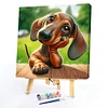 (US Only)Paint By Numbers Kit On Canvas DIY Oil Art Dachshund Picture Home Decor40x40cm