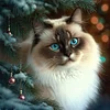 Christmas Cat - 11CT Stamped Cross Stitch 45*45cm/17.72*17.72in