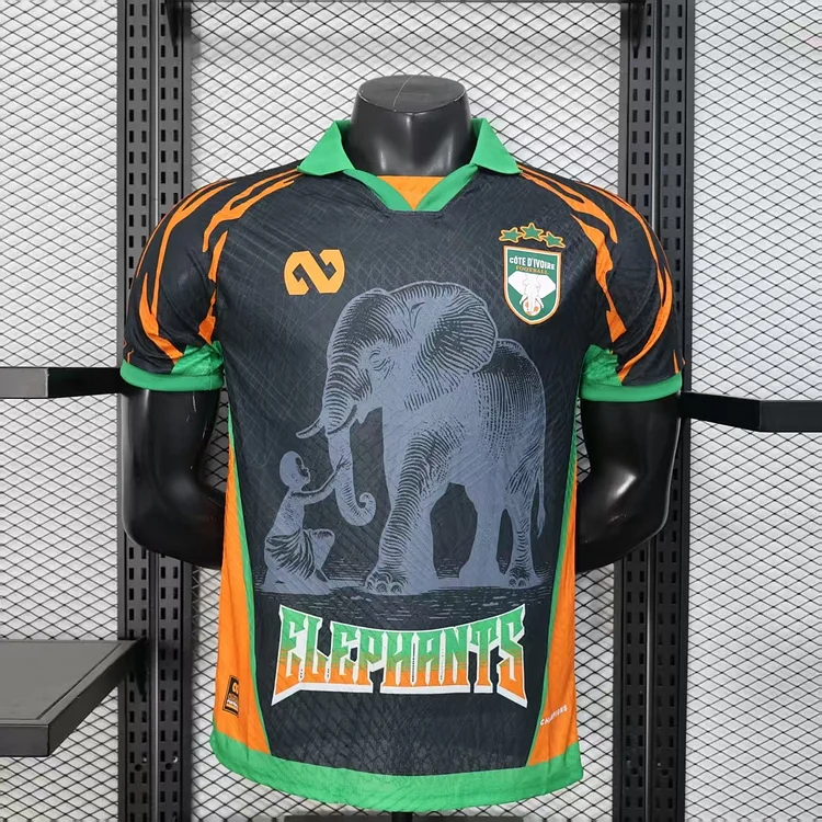 Player version - Ivory Coast 25/26 Special Edition Jersey