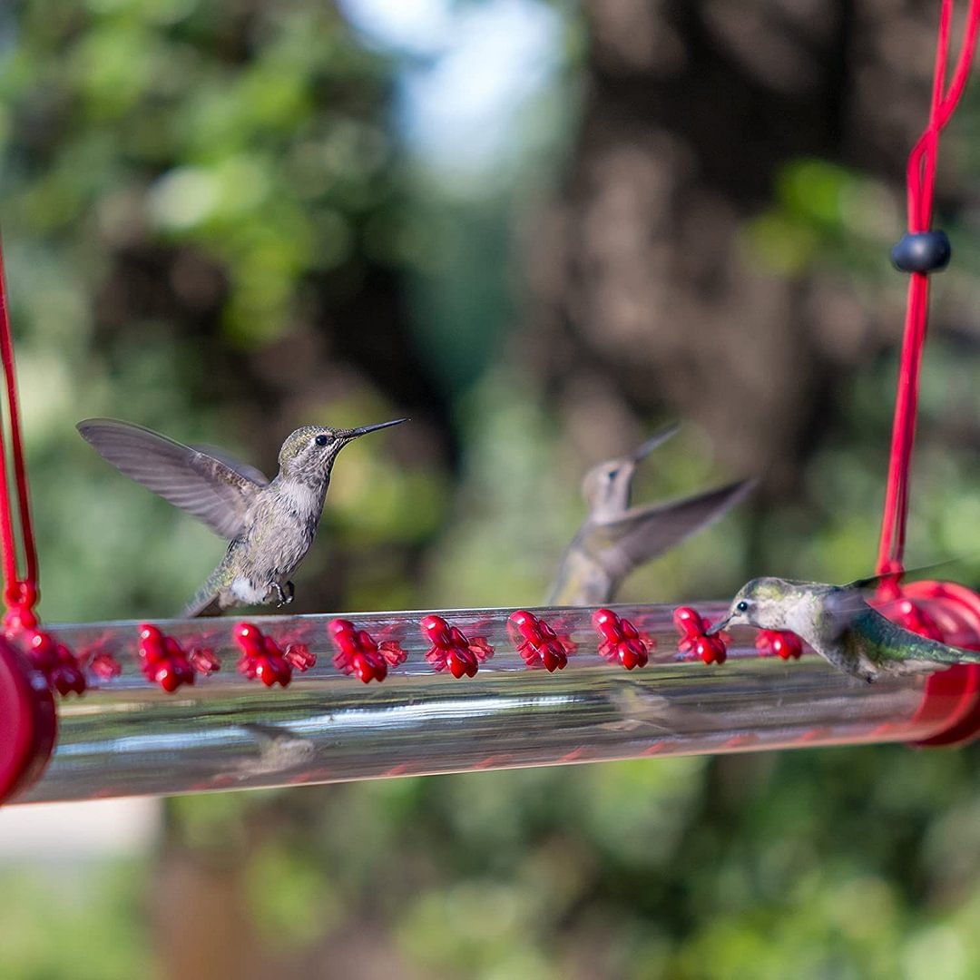 💥50% OFF💥Hanging long tube bird feeder