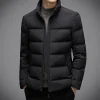 Men's stand collar casual down jacket